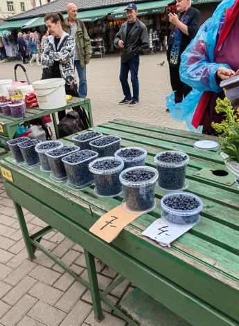 Такой цены на рынке дикой черники не было по крайней мере в течение последнего десятилетия. (Фото: Jauns.lv)
