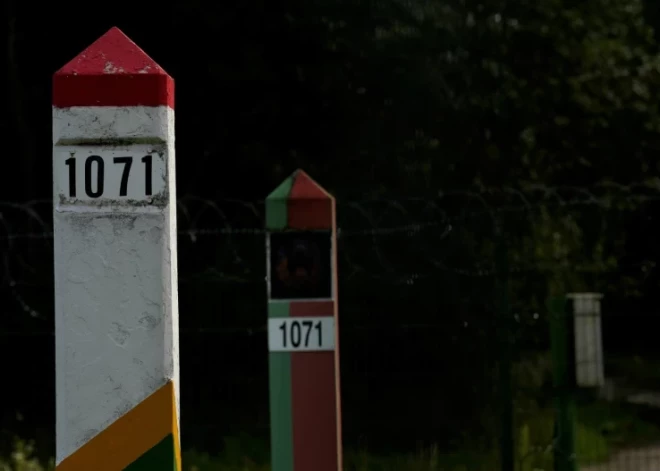 "Он сидит на нейтральной полосе, иногда ложится на асфальт": Литва закрыла погранпункт с Беларусью из-за пакистанца