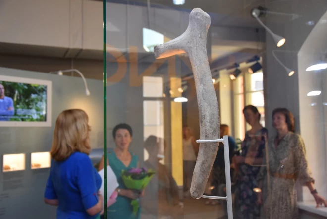 Daugavpils Novadpētniecības un mākslas muzejā Lietuvas Nacionālais muzejs izstādījis unikālu 13 000 gadu senu no ziemeļbrieža raga izgatavotu cirvi.