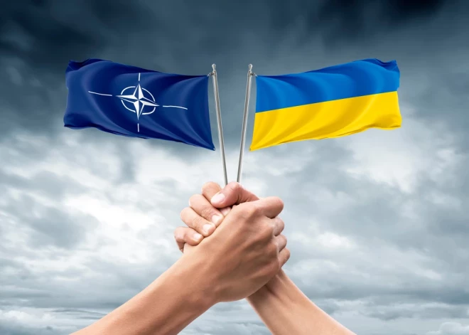 Посол Литвы при НАТО: в Вильнюсе Украину не пригласят в альянс