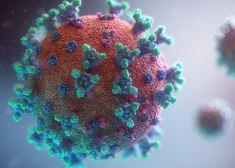 Кровотечение может длиться две недели: ВОЗ предупреждает о новом грозящем пандемией вирусе