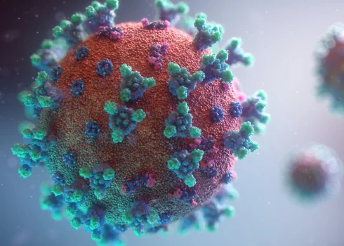 Кровотечение может длиться две недели: ВОЗ предупреждает о новом грозящем пандемией вирусе