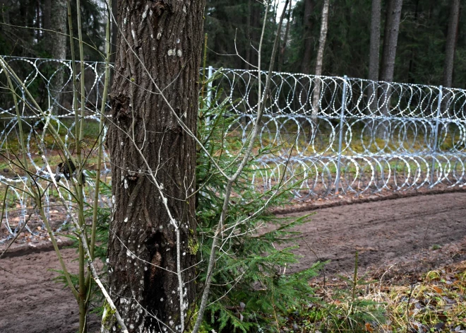 Vakar novērsti 19 cilvēku mēģinājumi nelikumīgi šķērsot Latvijas-Baltkrievijas robežu