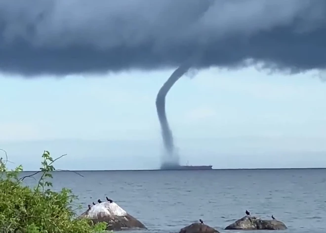 Сегодня в Финском заливе видели шесть водяных смерчей