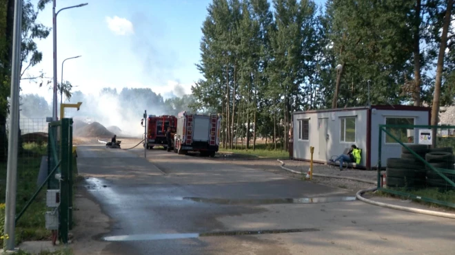 Общая площадь возгорания составила 1500 квадратных метров. (Фото: скриншот видео TV3)