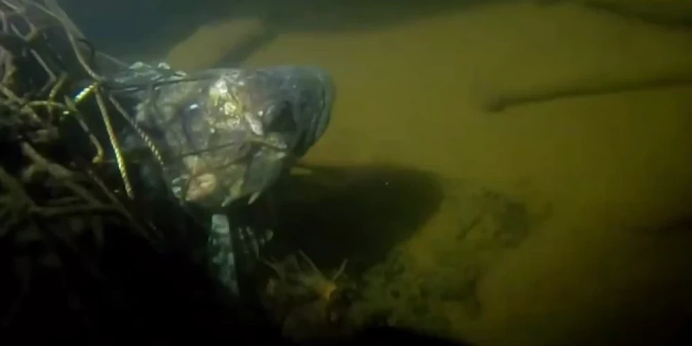 Опасную "находку" водолазы не смогут поднять из-за недостатка ресурсов. (Фото: скриншот видео TV3)