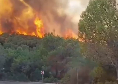 Пекло из Греции перемещается в Турцию: в пригородах Анталии начались пожары