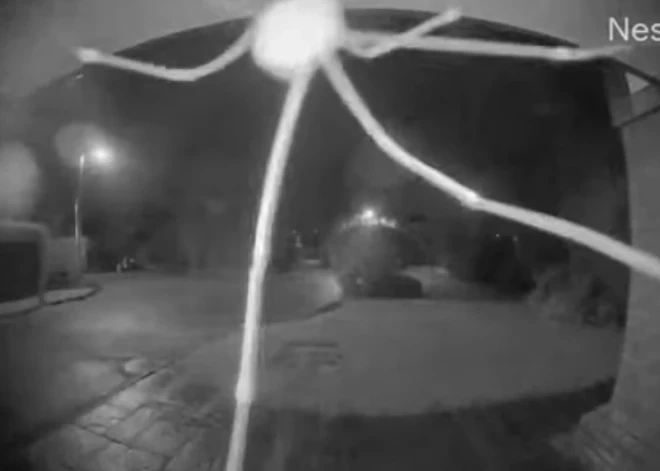 ВИДЕО: в Британии в дверной звонок семейной пары "позвонил" огромный паук