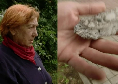 На пенсионерку в Юрмале напали дети - она утверждает, что ее закидали камнями за то, что она латышка