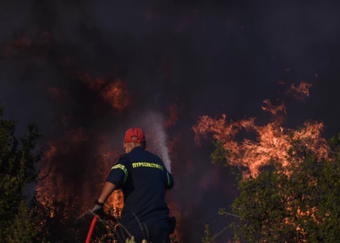 В Греции за сутки произошел 51 новый лесной пожар