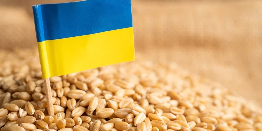 Экспорт украинского зерна через латвийские порты не является невозможным сценарием