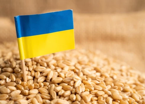 Экспорт украинского зерна через латвийские порты не является невозможным сценарием