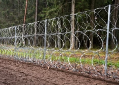 Dzeloņstiepļu žogs uz Latvijas-Baltkrievijas robežas.