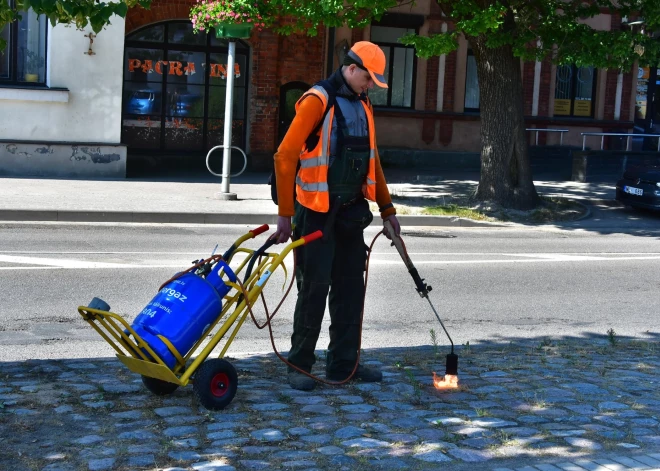 Jēkabpilī izmanto jaunu metodi, lai cīnītos ar nezālēm