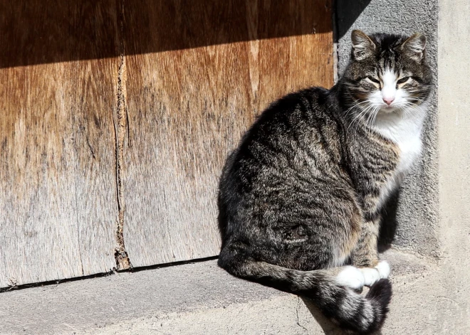 Pēc karstas svētdienas sinoptiķi sola siltāko nakti Latvijas vēsturē