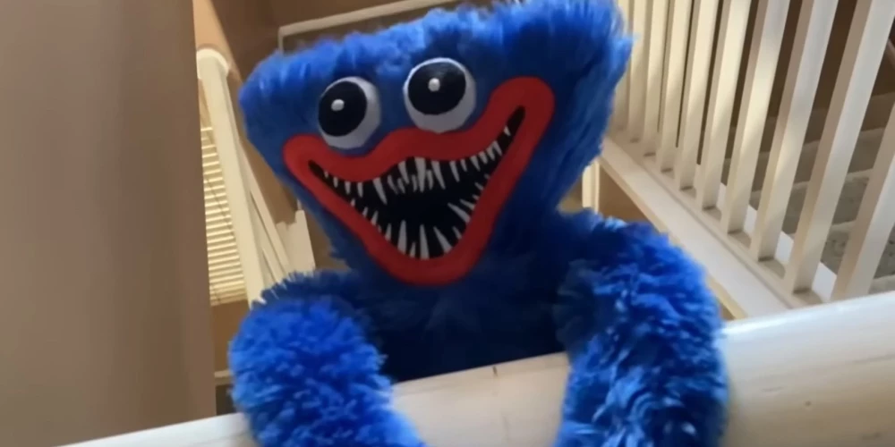 Популярная у детей игрушка Хагги Вагги.