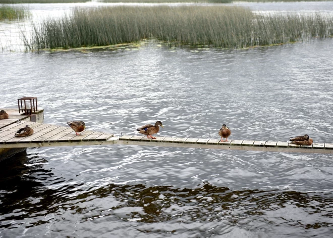 Ūdens temperatūra peldvietās no +6 līdz +22 grādiem