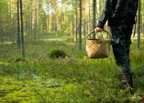 Иллюстративное фото