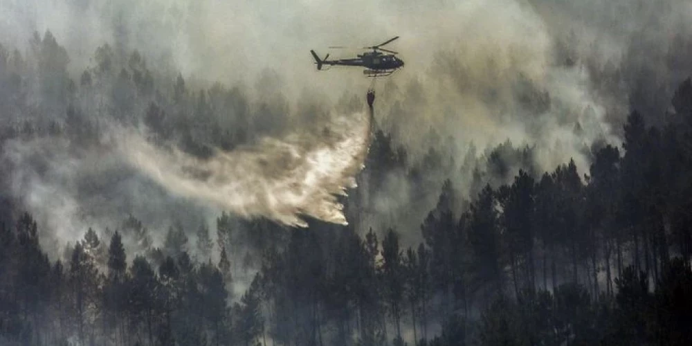 В Португалии и Испании за выходные сгорели тысячи гектаров леса