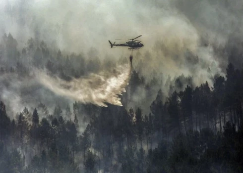 В Португалии и Испании за выходные сгорели тысячи гектаров леса