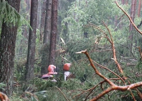 Vētra pamatīgi izpostījusi Tērvetes dabas parku. To slēdz apmeklētājiem uz vairākām dienām