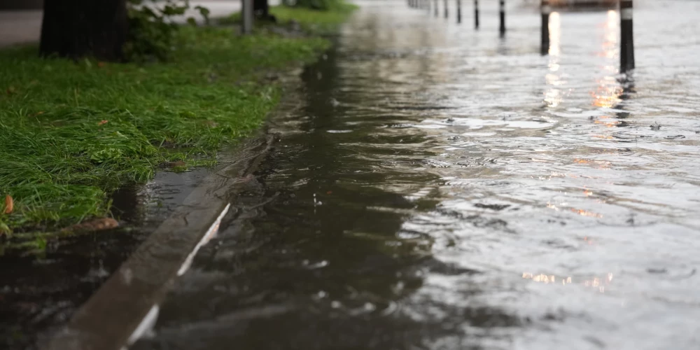 Иллюстративное фото