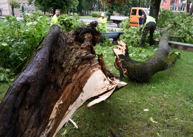 VIDEO: Madonā vēja ātrums brāzmās sasniedzis 30 metrus sekundē; Bukaišos piedzīvoti apokalipses cienīgi skati