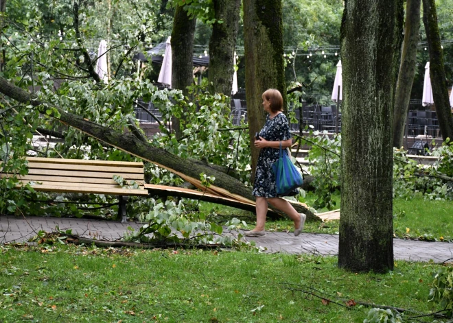 Печальные последствия бури: пострадали несколько человек, один погиб