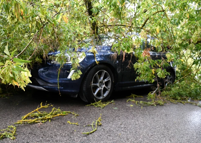 Valdība šodien, visticamāk, vēl nelems par konkrēta atbalsta sniegšanu negaisā cietušajiem