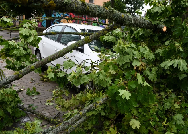 Šādas vētras Latvijā nākotnē būs arvien biežāk! Eksperts skaidro, kāpēc vakardienas negaiss bija tik postošs