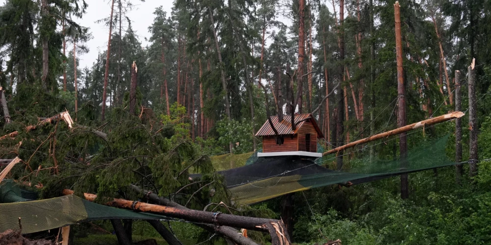 В будущем бурь в Латвии будет все больше! Эксперт объясняет, почему вчерашняя непогода была такой разрушительной