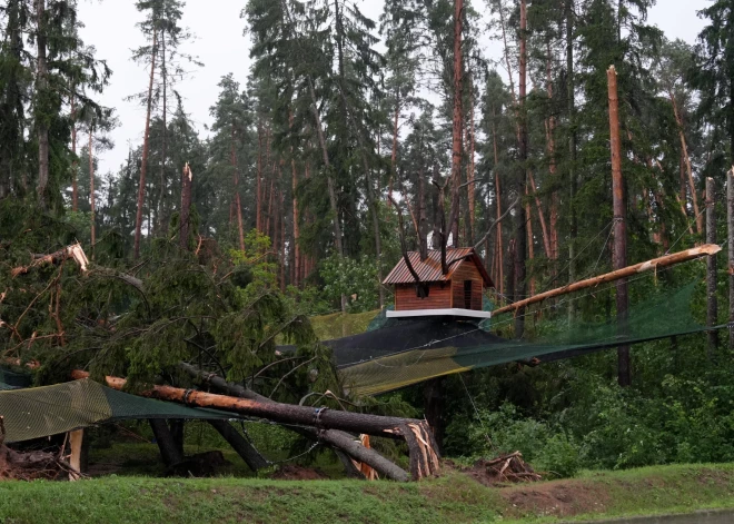 В будущем бурь в Латвии будет все больше! Эксперт объясняет, почему вчерашняя непогода была такой разрушительной