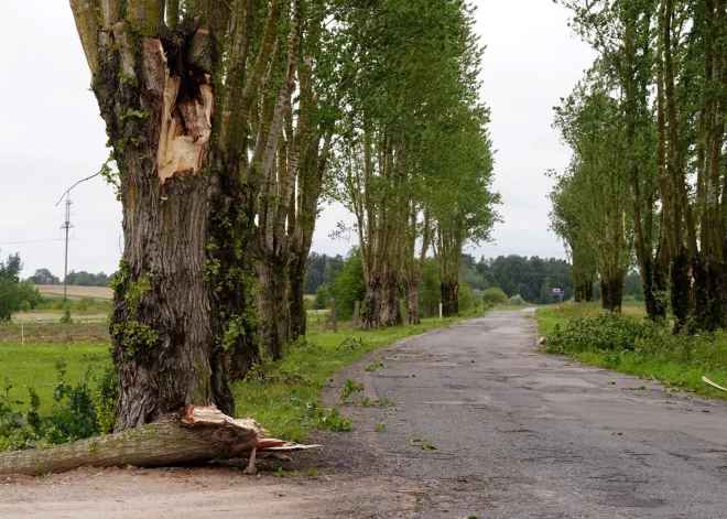 Ущерб, причиненный бурей Добельскому краю, очень серьезный.