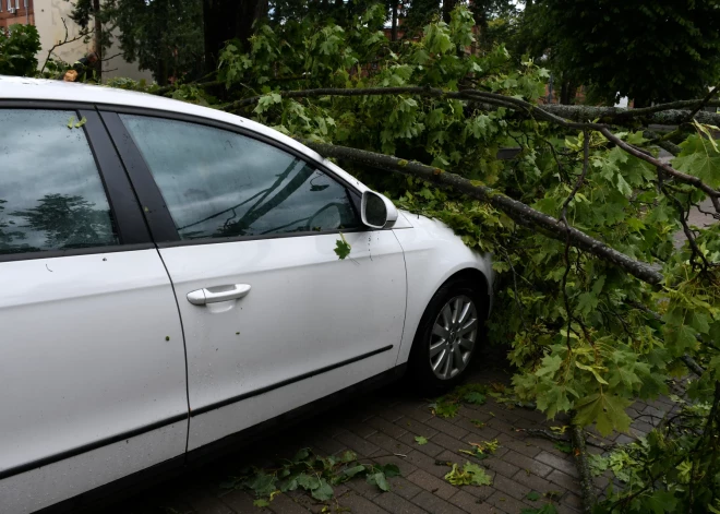 Адвокаты объяснили, что делать, если вас оштрафовали за неправильную парковку во время бури