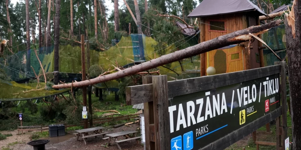 Природный парк в Тервете снова заработает, а вот "Тарзану" придется переехать