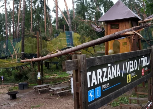 Природный парк в Тервете снова заработает, а вот "Тарзану" придется переехать