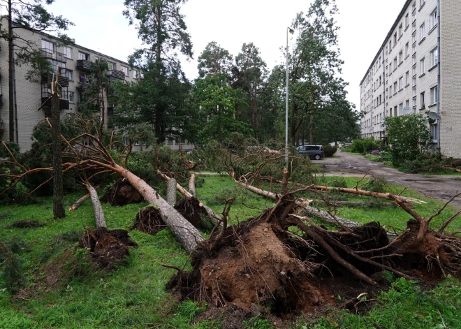 Valdība atbalstīs vētrā cietušos; sola segt līdz 90% izdevumu postījumu likvidēšanai pašvaldībās