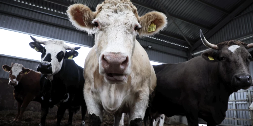 Иллюстративное фото