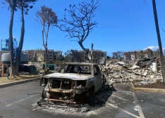 Kādreiz zaļojošās ainavas nu daudzviet Maui salā pārvērtušās pelnos.