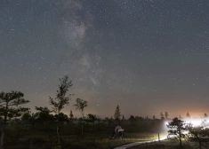 FOTO: ļaudis Ķemeru tīrelī romantiski vēro zvaigžņu lietu