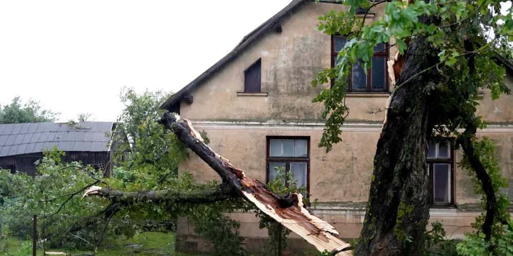 Только в Добельском крае на ликвидацию последствий бури необходима гигантская сумма