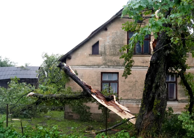 Только в Добельском крае на ликвидацию последствий бури необходима гигантская сумма