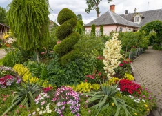 FOTO: noskaidroti skaistākie un sakoptākie Jūrmalas dārzi un īpašumi (daži nudien ir pārsteidzoši)