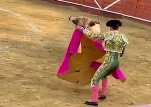 VIDEO: skatītājiem šausmās kliedzot, vērsis koridā izrēķinās ar matadoru