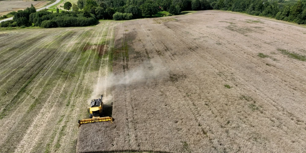 Par spīti jūnija sausumam un nesenajai vētrai, Latvijā prognozē pietiekamu graudu apjomu