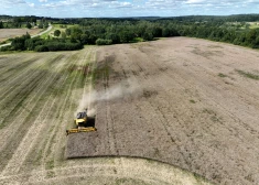 Par spīti jūnija sausumam un nesenajai vētrai, Latvijā prognozē pietiekamu graudu apjomu