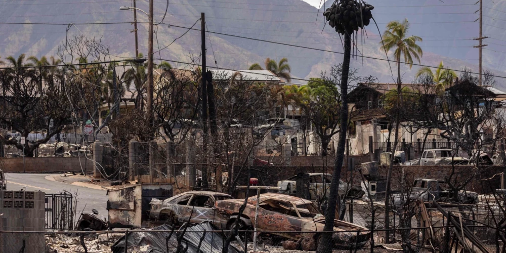 Liesmas iznīcinājušas Havaju salu tropu paradīzes idilli