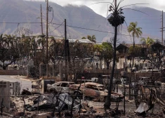 Apokaliptiskas ainas, tropu paradīzei pārvēršoties pelnos — liesmas Havaju salās jau paņēmušas 110 cilvēku dzīvības