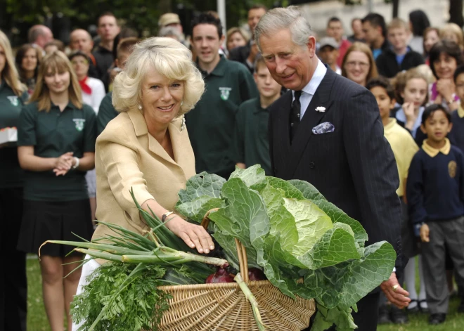 D 88575-22 Prince Charles and Duchess of Cornwall. Obligatory Credit - CAMERA PRESS / R. Stonehouse. British royals HRH Prince Charles and HRH Camilla, Duchess of Cornwall visit the Cabinet War Rooms and the Royal Parks 'War on Waste' Dig For Victory Allotment in St James' Park, London. 17/07/2008. Camilla was presented with a carrot cake and a basket of veg from the allotment for her Birthday as well as being handed a very large Cabbage.