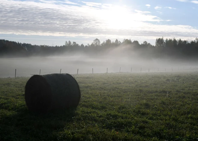 Sinoptiķi prognozē, ka naktī daudzviet Latvijā sabiezēs migla